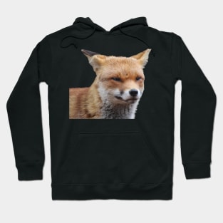 Fox Hoodie